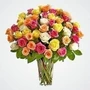 131000 50 Mixed Roses In Vase