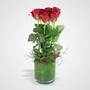 29000 6 Red Roses In Vase