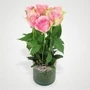29000 Pink Rose In Vase