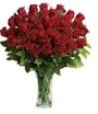 Red Rose Vase