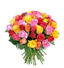 Mixed Roses 50