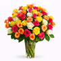 Mixed Roses 50 In A Vase