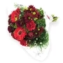 20190211102241bu09 Red Mixed Bunch