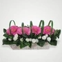 38000 Gerbera Basket Pink