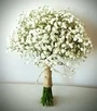 Baby Breath Bouquet