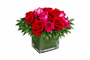 Pink And Red Roses In A Vase
