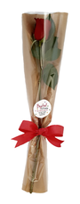 Single Red Rose