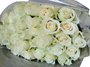 Thirty White Roses