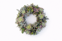 Succulent Wreath