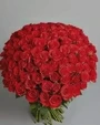 Red Roses 100 Bunch