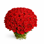 Red Roses 100 Bouquet