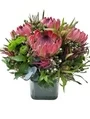 Protea Posy R650