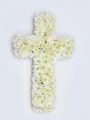 Chrysanthemums Cross
