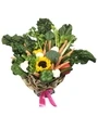 Mixed Vegetable Bouquet