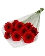 Red Gerbera Bunch 10