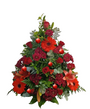 Festive Traditional Arrangement
