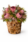Proteas In A Bark Vase